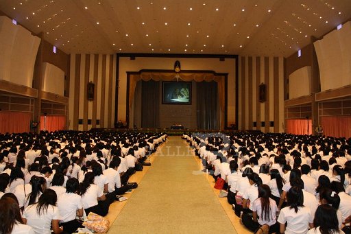 MCT024 Copy.JPG